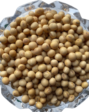 Soja em Grão 1kg